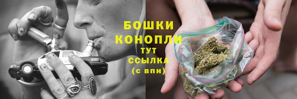 ПСИЛОЦИБИНОВЫЕ ГРИБЫ Лихославль