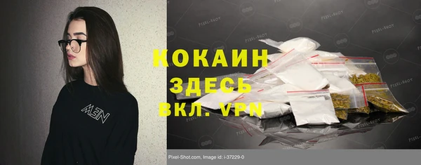 ПСИЛОЦИБИНОВЫЕ ГРИБЫ Лихославль