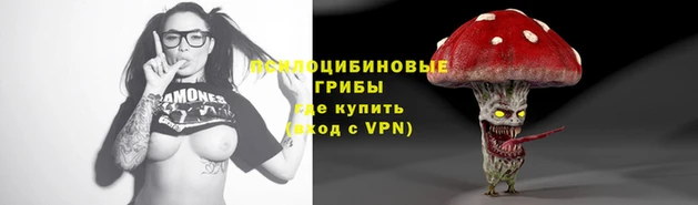 ПСИЛОЦИБИНОВЫЕ ГРИБЫ Лихославль