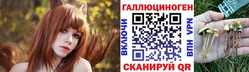 blacksprut маркетплейс  Кочубеевское  Галлюциногенные грибы прущие грибы  продажа наркотиков 